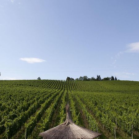 Stupnicki Dvori Winery Hotel Stupnik Brodski Kültér fotó