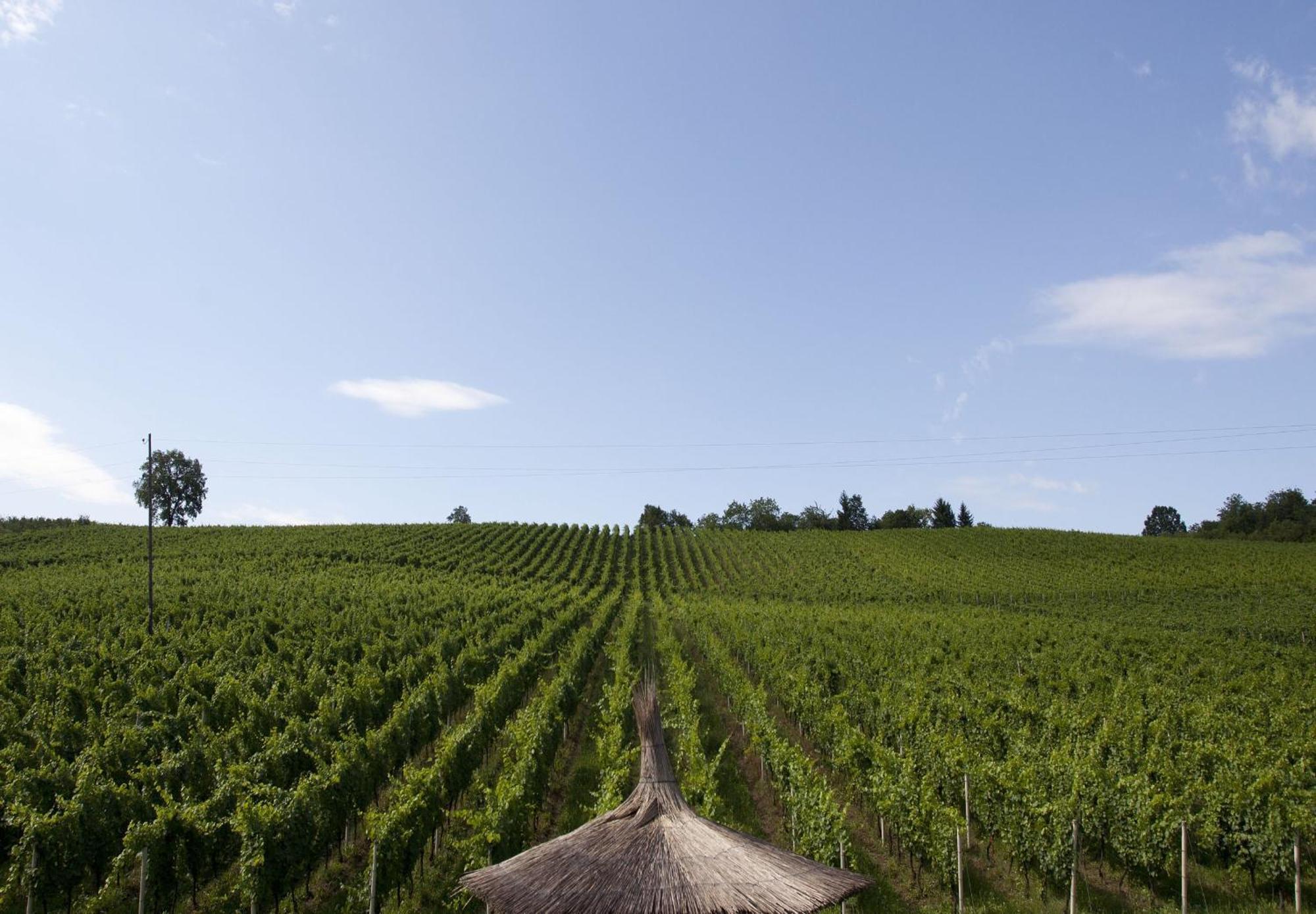 Stupnicki Dvori Winery Hotel Stupnik Brodski Kültér fotó