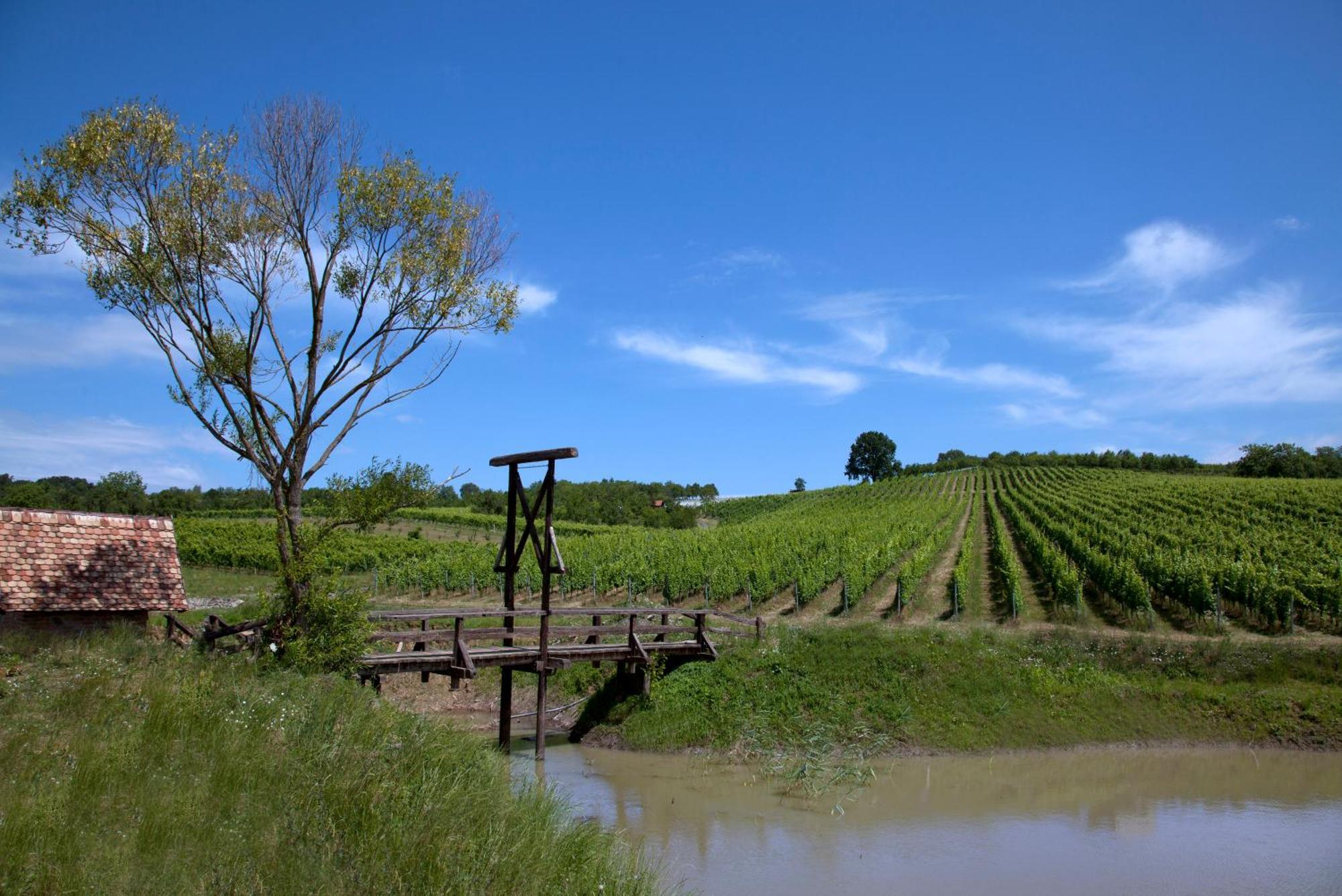 Stupnicki Dvori Winery Hotel Stupnik Brodski Kültér fotó