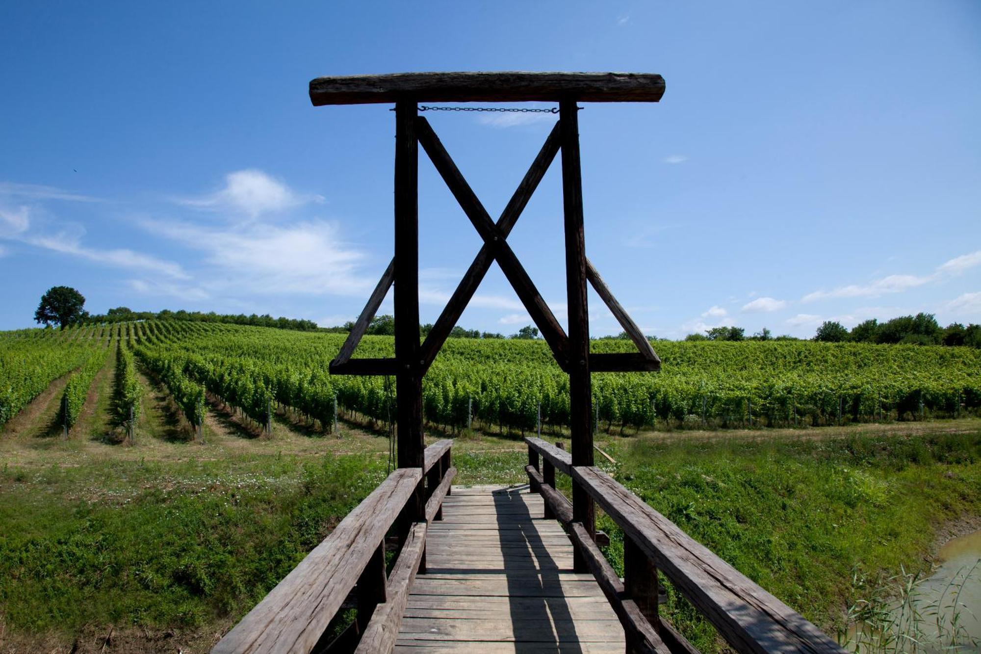 Stupnicki Dvori Winery Hotel Stupnik Brodski Kültér fotó