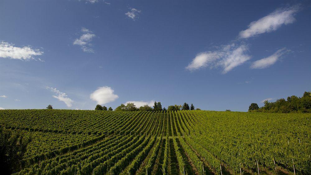 Stupnicki Dvori Winery Hotel Stupnik Brodski Kültér fotó