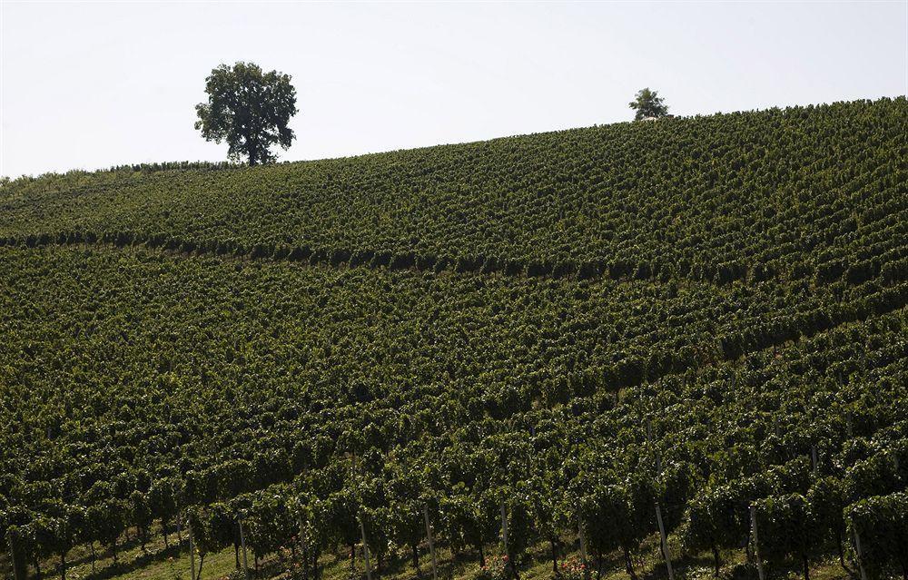 Stupnicki Dvori Winery Hotel Stupnik Brodski Kültér fotó