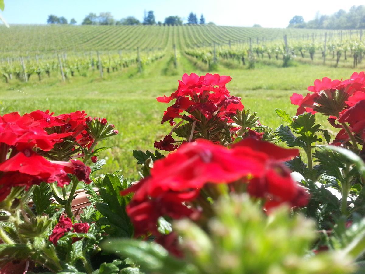 Stupnicki Dvori Winery Hotel Stupnik Brodski Kültér fotó